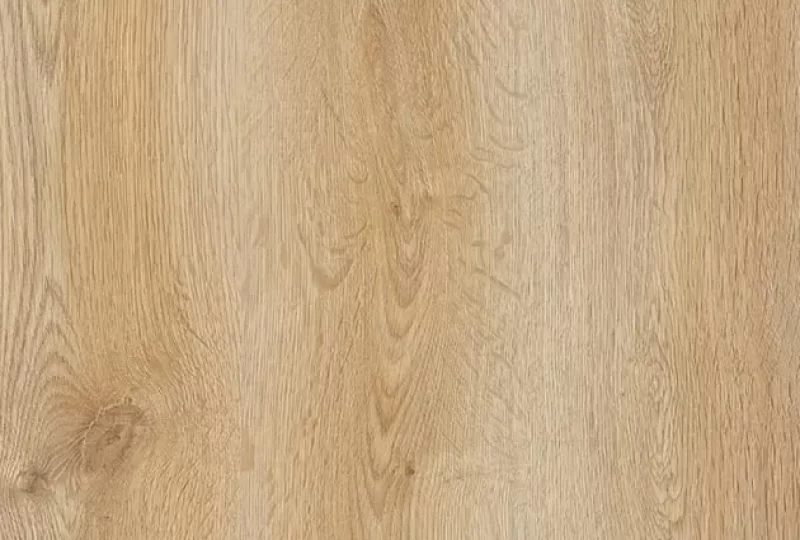 Trend Oak